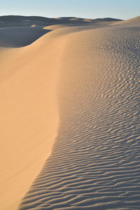 Sand dunes in a desert