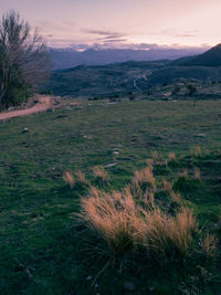 Scenic view of landscape against sky during sunset