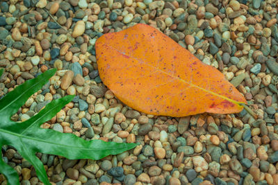 High angle view of pebble on pebbles