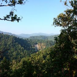 Scenic view of tree mountains against clear sky
