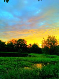 Scenic view of grassy field against cloudy sky