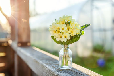 Close-up of yellow flower in vase on table