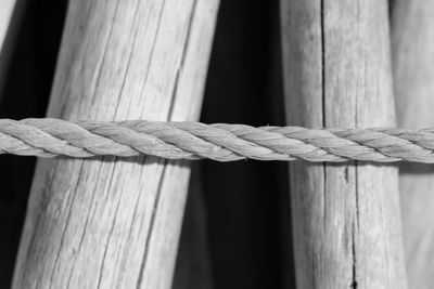 Close-up of rope on wooden log