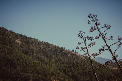 Scenic view of landscape against clear sky