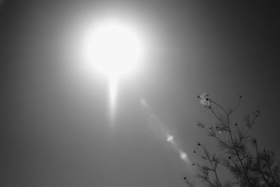 Low angle view of sun shining over blue sky