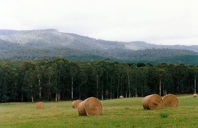 Scenic view of grassy field against cloudy sky