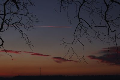 Bare trees against sky at sunset