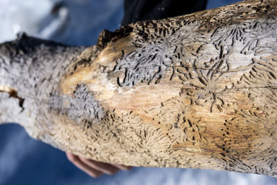 Close-up of rock formation