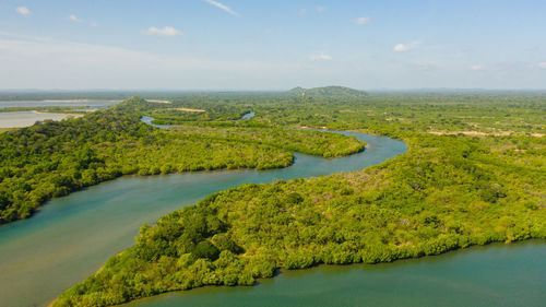 A river among jungles and tropical vegetation. sri lanka.