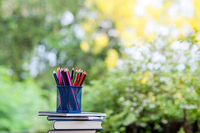 Close-up of books on table