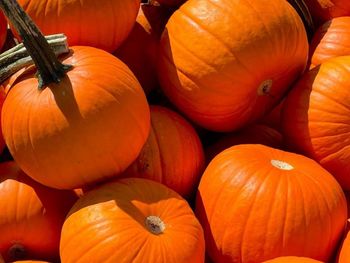 Full frame shot of pumpkins at market