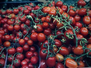 Full frame shot of tomatoes for sale