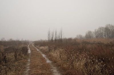Dirt road passing through field