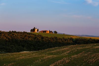 Scenic view of agricultural field against sky