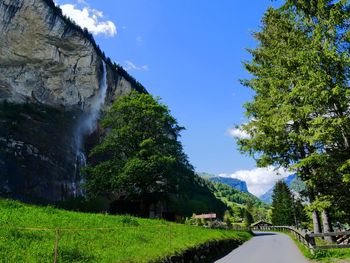 Road amidst trees against sky