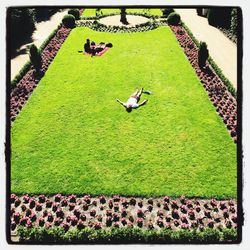 View of people on grassy field