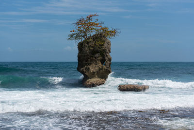 Rocky island with tree in manzanillo coast, costa rica