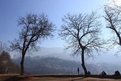 Bare trees on field against clear sky