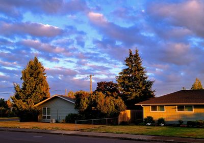 Houses by trees and buildings against sky
