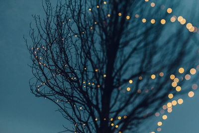 Low angle view of christmas tree against sky