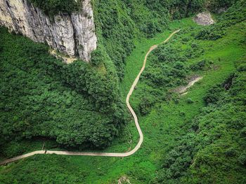 High angle view of road amidst green landscape