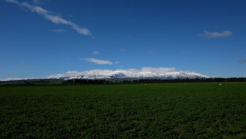 Scenic view of field against sky