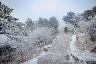 Rear view of people walking on snow covered footpath