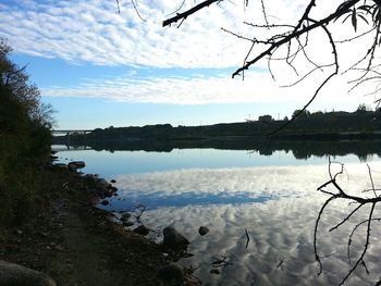 Reflection of trees in lake