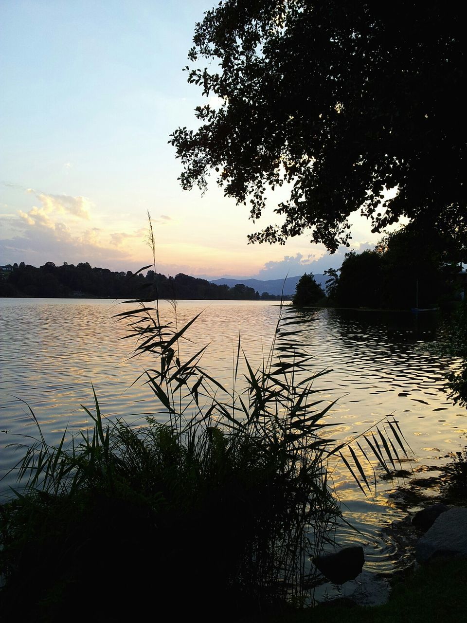 water, tranquil scene, sunset, silhouette, tranquility, lake, scenics, beauty in nature, sky, nature, tree, reflection, lakeshore, plant, idyllic, river, calm, rippled, growth, branch