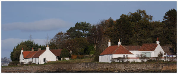 Houses by trees against sky