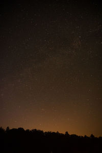 Low angle view of silhouette trees against sky at night