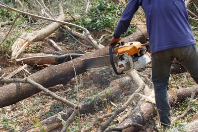 Low section of man working on field in forest