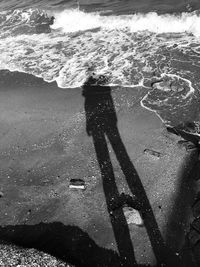 Low section of person on beach