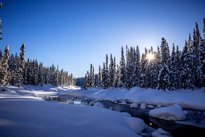 Snow covered landscape against clear blue sky