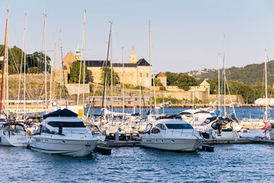 Sailboats moored in harbor