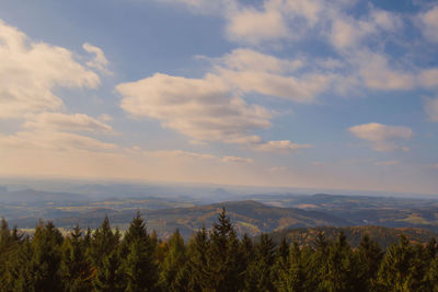 Scenic view of forest against sky