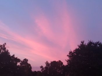 Low angle view of silhouette trees against sky at sunset