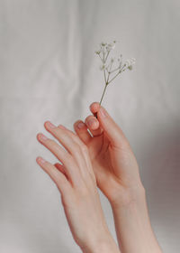 Close-up of hand holding red flower