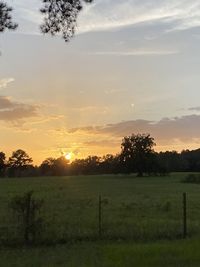 Scenic view of field against sky during sunset