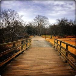 Narrow footbridge along trees and plants against sky