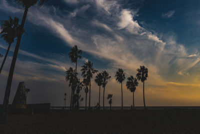 Silhouette palm trees on beach against sky at sunset