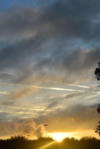 Low angle view of silhouette trees against sky