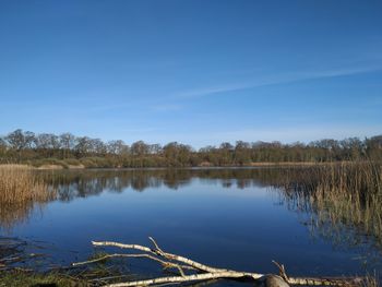 Scenic view of lake against blue sky