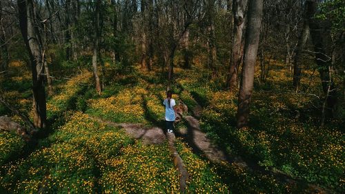 High angle view of woman standing in forest