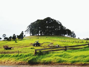 Trees on grassy field