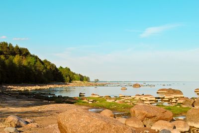 Scenic view of beach against sky