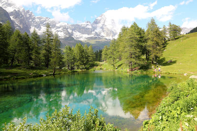 Scenic view of lake and trees against sky