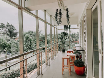 Potted plants on railing of building