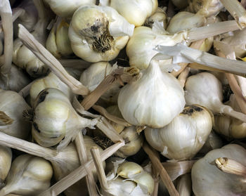 Full frame shot of garlic bulbs at market stall