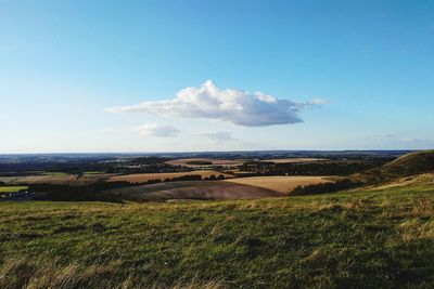 Scenic view of landscape against blue sky